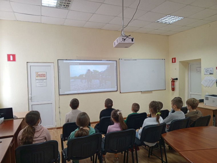 Гостеприимная Россия. Ко Дню народного единства.